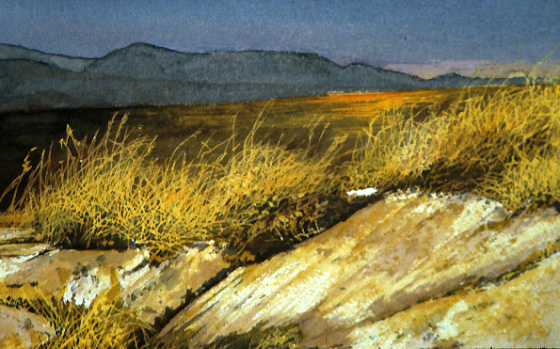 (image)